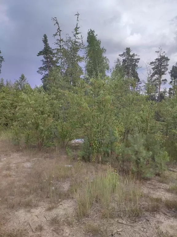 Участок в Нижегородская область, Володарский муниципальный округ, ... - Фото 1