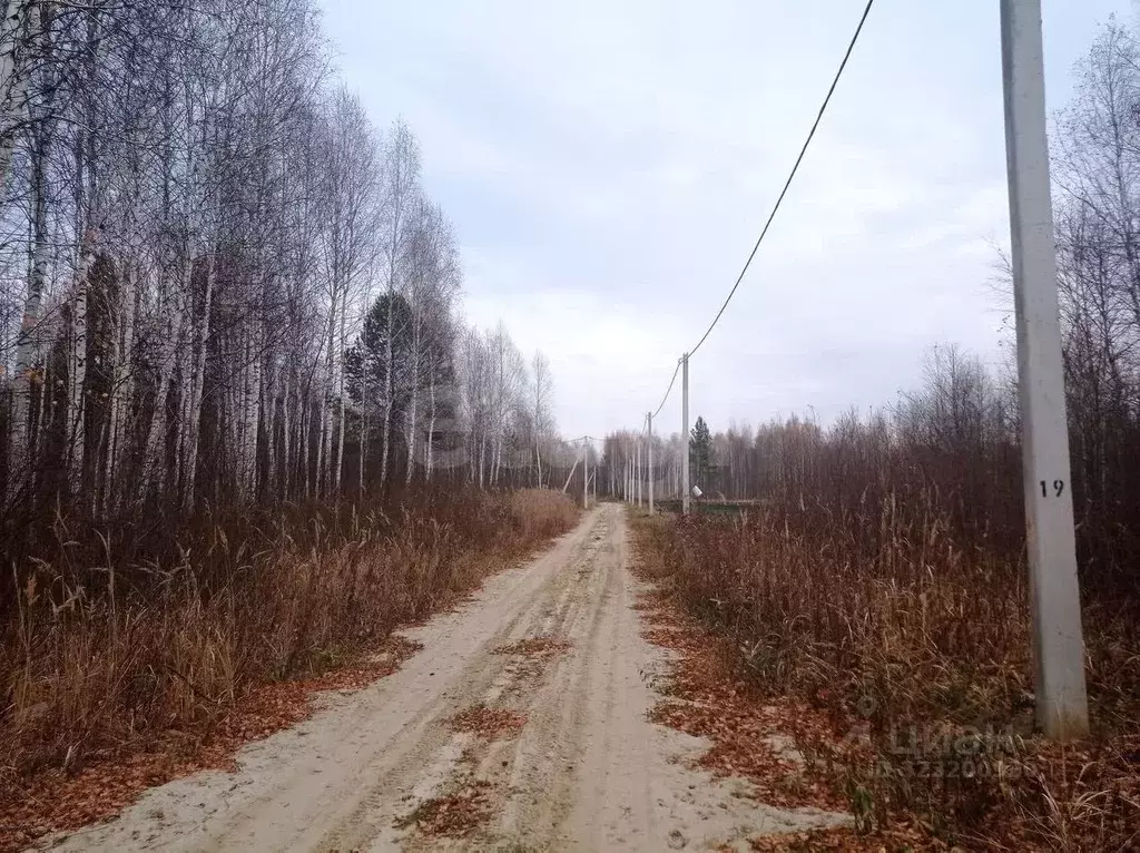 Участок в Тюменская область, Нижнетавдинский муниципальный округ, ... - Фото 1