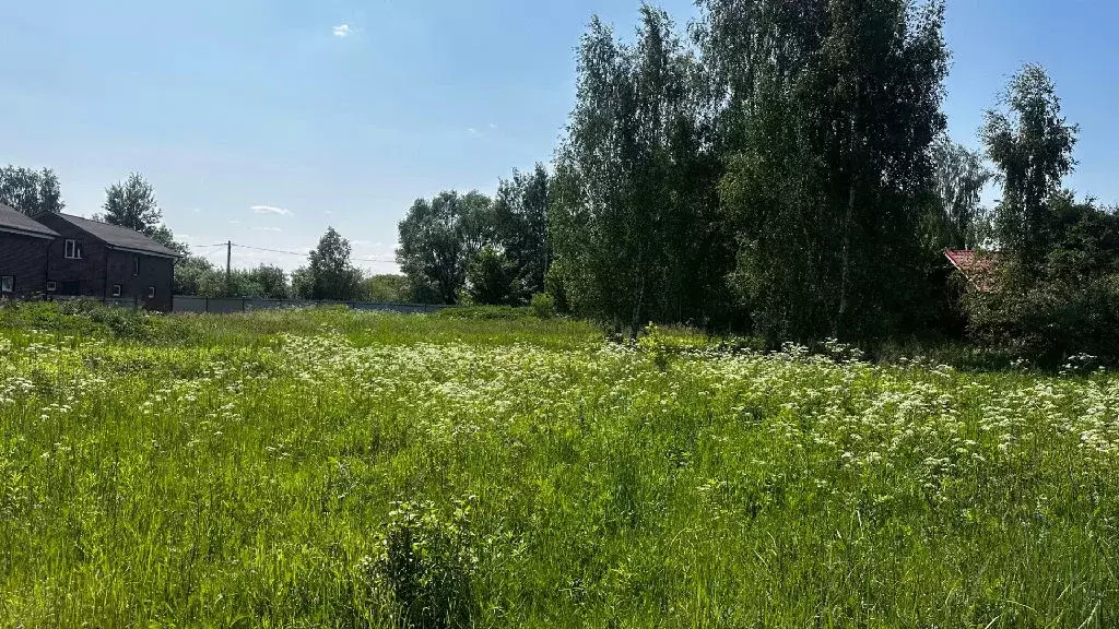 Продается участок в д. Поповка - Фото 2