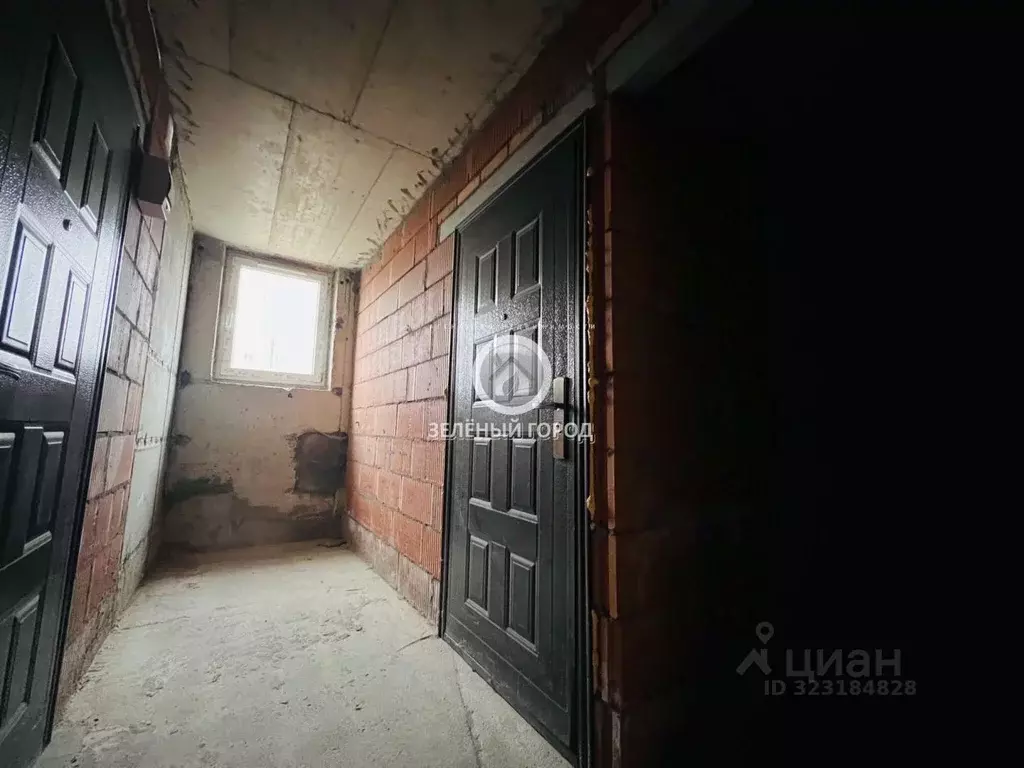 Помещение свободного назначения в Калининградская область, Светлогорск ... - Фото 0