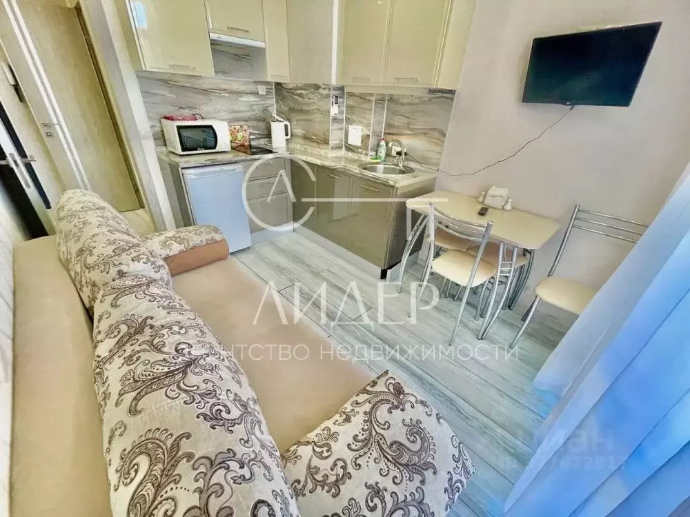 1-к кв. Краснодарский край, Сочи Сириус пгт, ул. Нижнеимеретинская ... - Фото 1