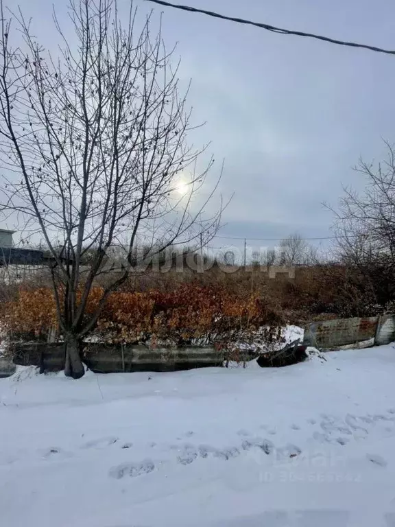 Участок в Амурская область, Благовещенск  (10.0 сот.) - Фото 1