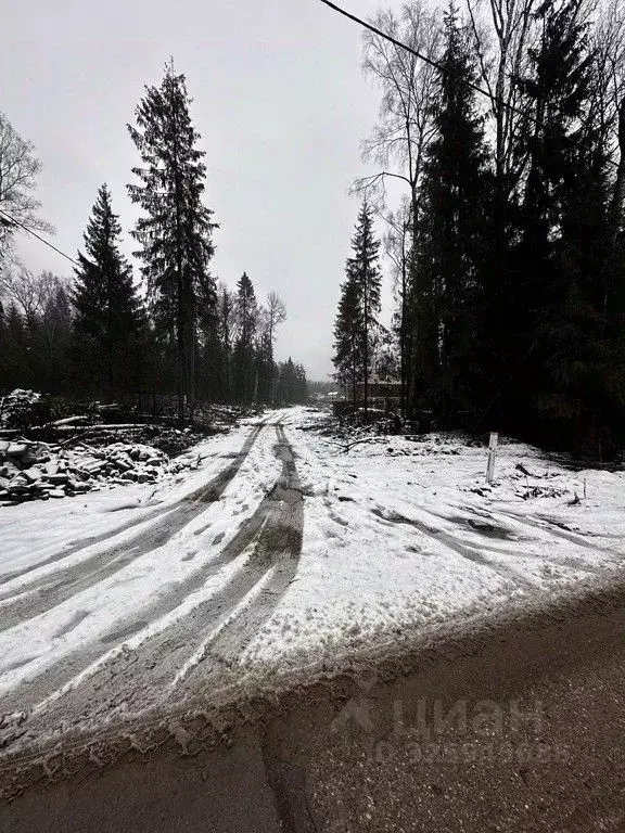 Участок в Московская область, Дмитров  (15.0 сот.) - Фото 2