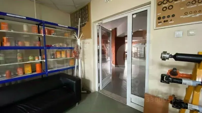 Помещение свободного назначения в Новосибирская область, Новосибирск ... - Фото 1