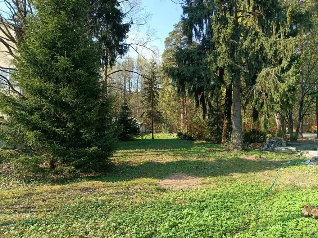 Участок в Московская область, Пушкинский городской округ, Черкизово ... - Фото 1