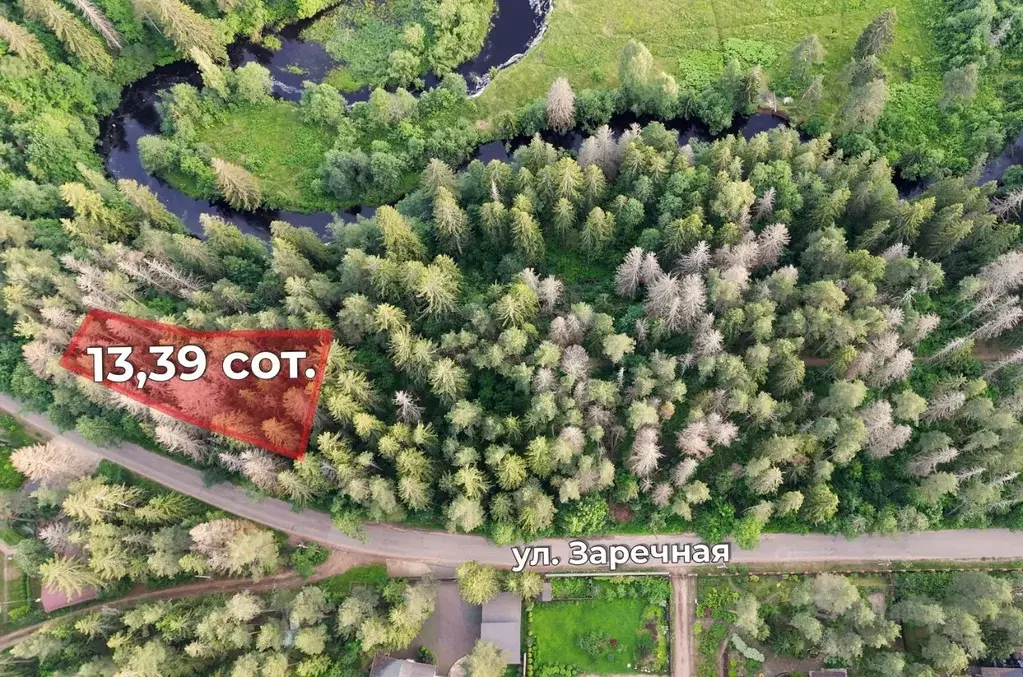 Участок в Ленинградская область, Выборгский район, Рощино городской ... - Фото 1