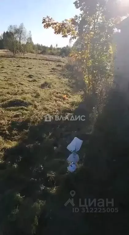 Участок в Владимирская область, Камешковский район, Сергеихинское ... - Фото 2