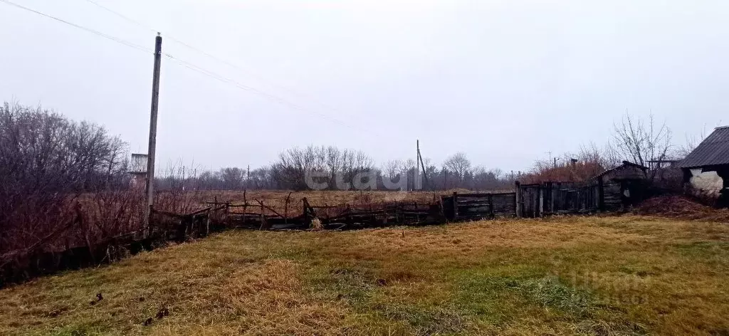 Дом в Белгородская область, Волоконовский район, с. Староивановка ул. ... - Фото 1