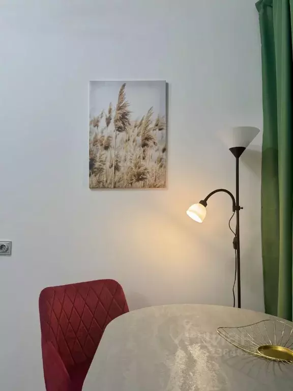 Студия Санкт-Петербург просп. Обуховской обороны, 36 (25.0 м) - Фото 1