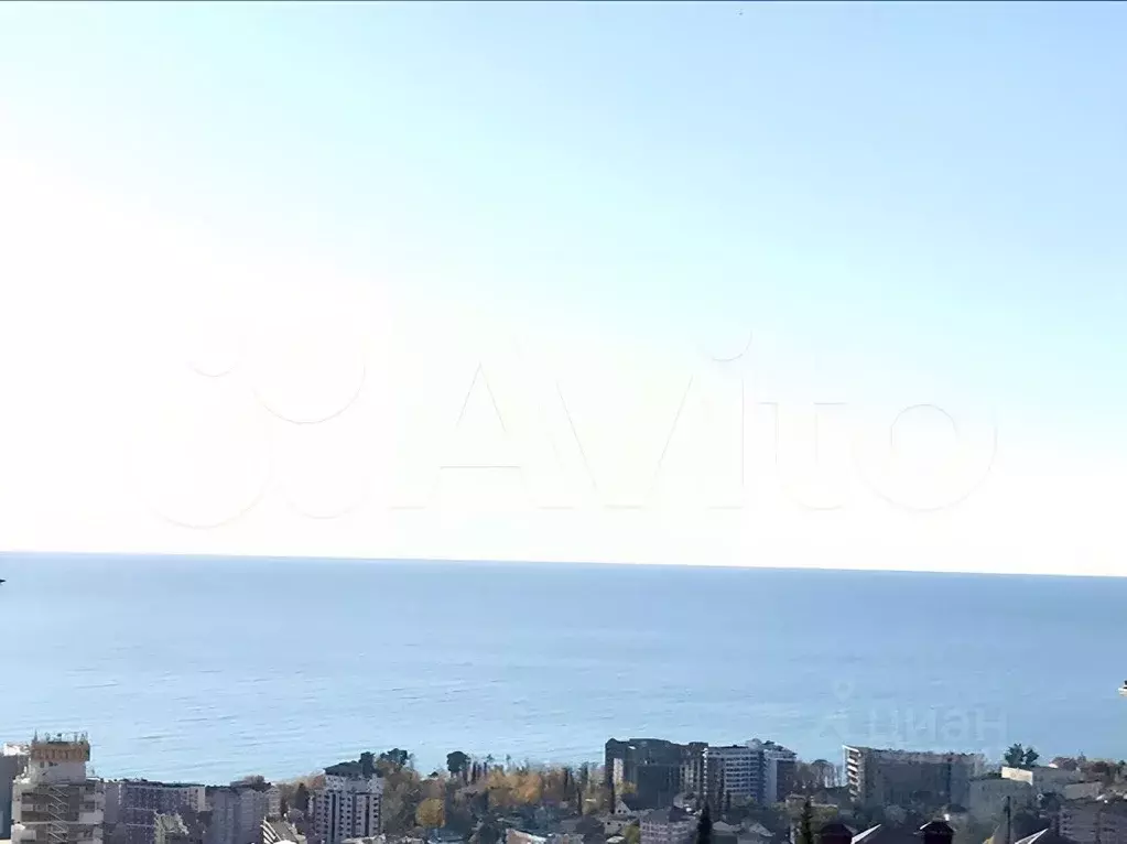 1-к кв. Краснодарский край, Сочи Целинная ул., 16Г (25.0 м) - Фото 1