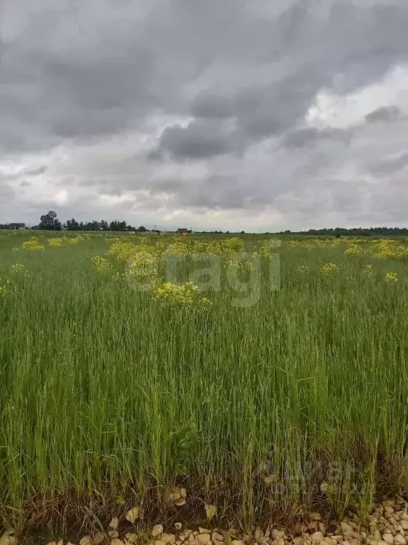 Участок в Ленинградская область, Волосовский район, Калитинское с/пос, ... - Фото 1