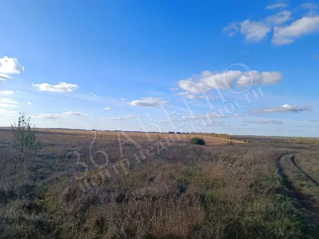 Участок в Воронежская область, Семилукский район, Латная рп ул. ... - Фото 0