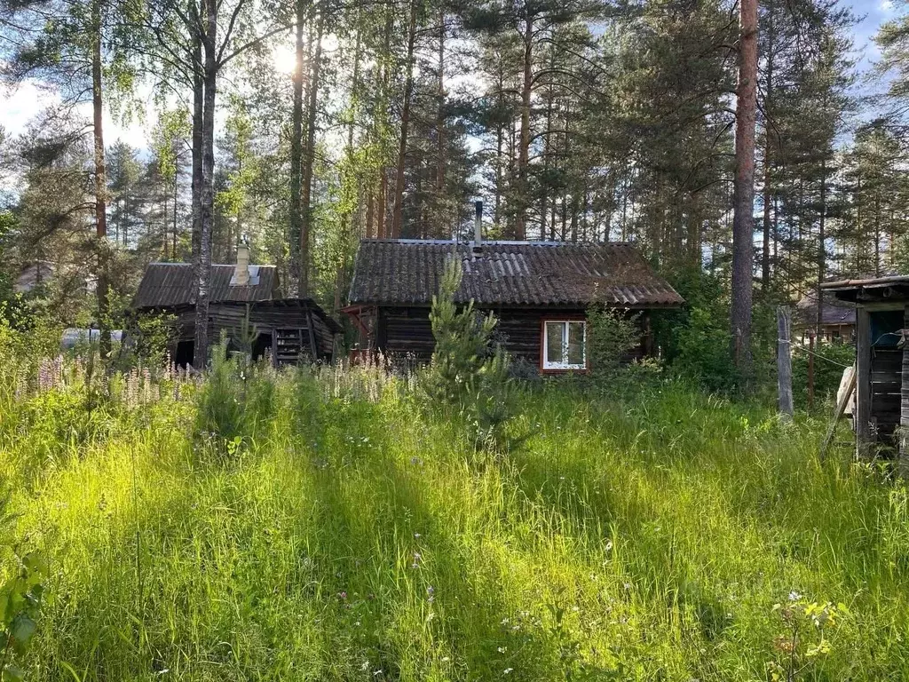Участок в Ленинградская область, Выборгский район, Красносельское ... - Фото 2