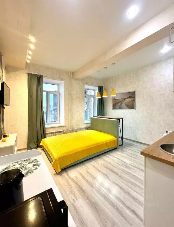 Студия Санкт-Петербург ул. Шкапина, 42 (25.0 м) - Фото 0