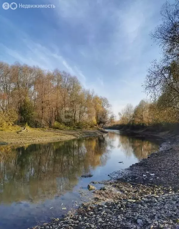 Участок в Новосибирский район, Кудряшовский сельсовет, СНТ Семицвет, ... - Фото 2