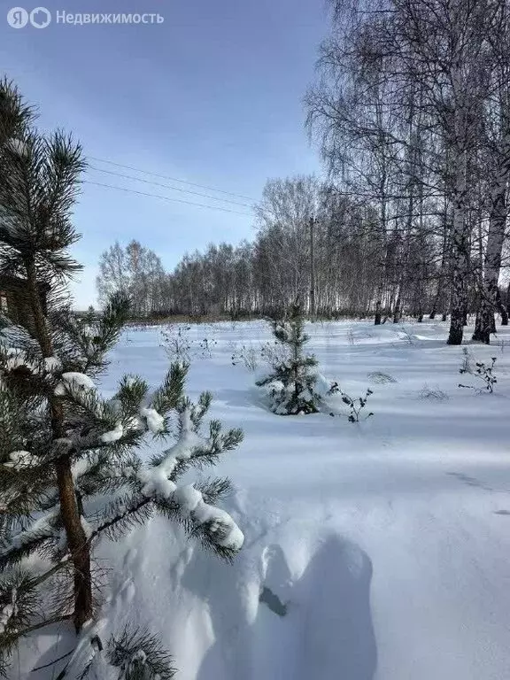 Дом в посёлок Бишкиль, Западная улица (98.1 м) - Фото 2