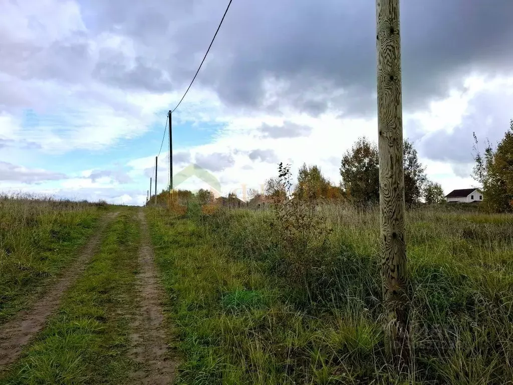 Участок в Ленинградская область, Ломоносовский район, Лопухинское ... - Фото 0