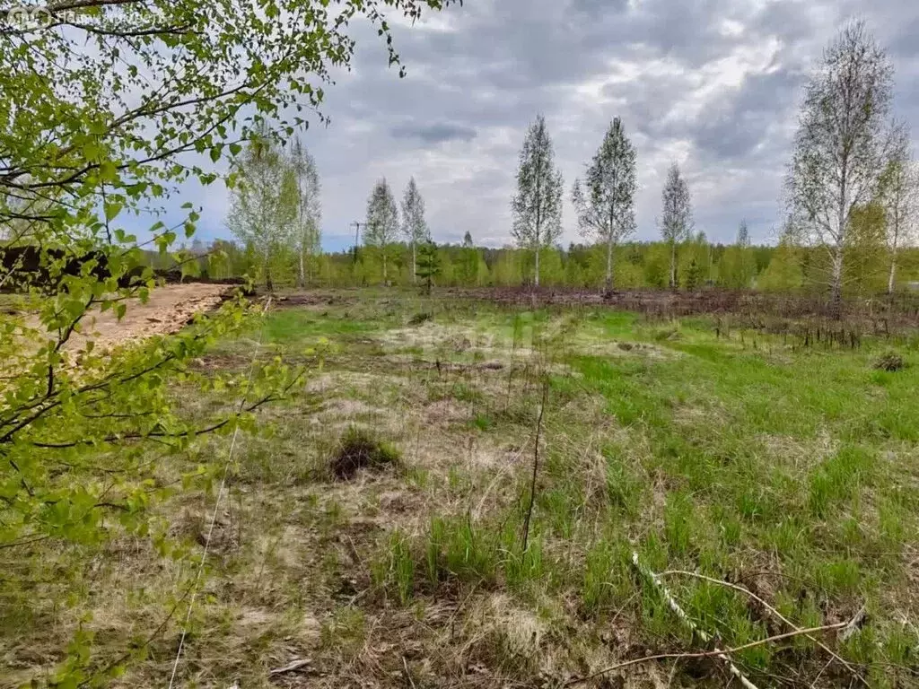 Участок в село Большие Харлуши, коттеджный посёлок Новые Харлуши (5.9 ... - Фото 0