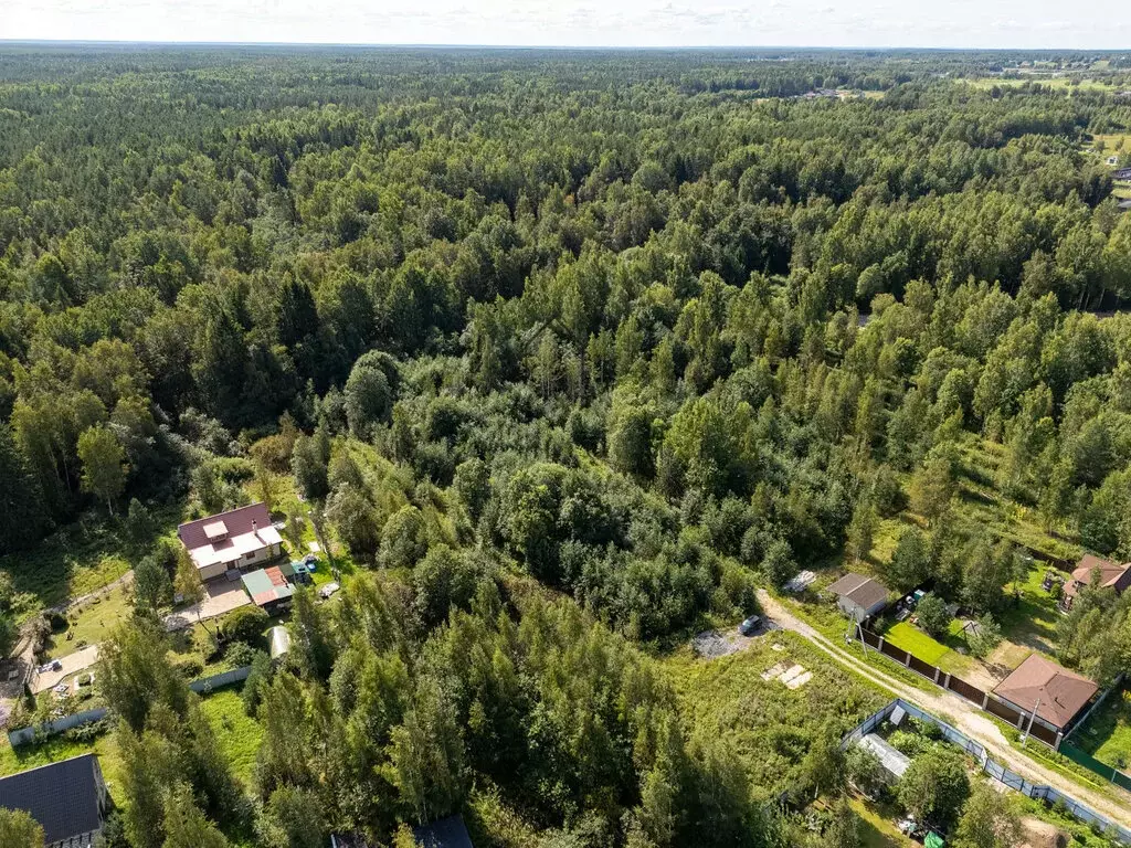 Участок в Пениковское сельское поселение, деревня Сойкино (13.6 м) - Фото 1