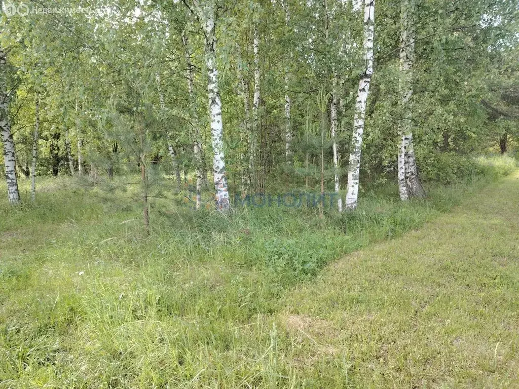 Участок в Нижегородская область, Богородский муниципальный округ, СТ ... - Фото 0