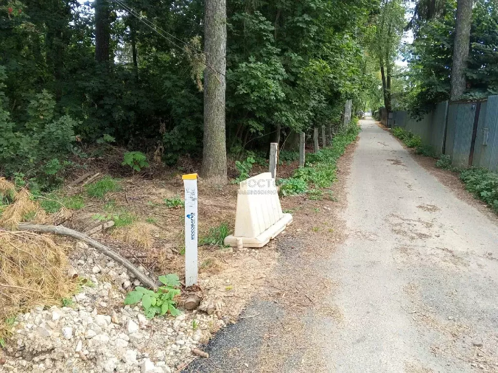 Продается участок в дп Черкизово - Фото 1