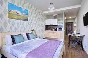 1-к кв. Санкт-Петербург просп. Народного ополчения, 10 (26.0 м) - Фото 1