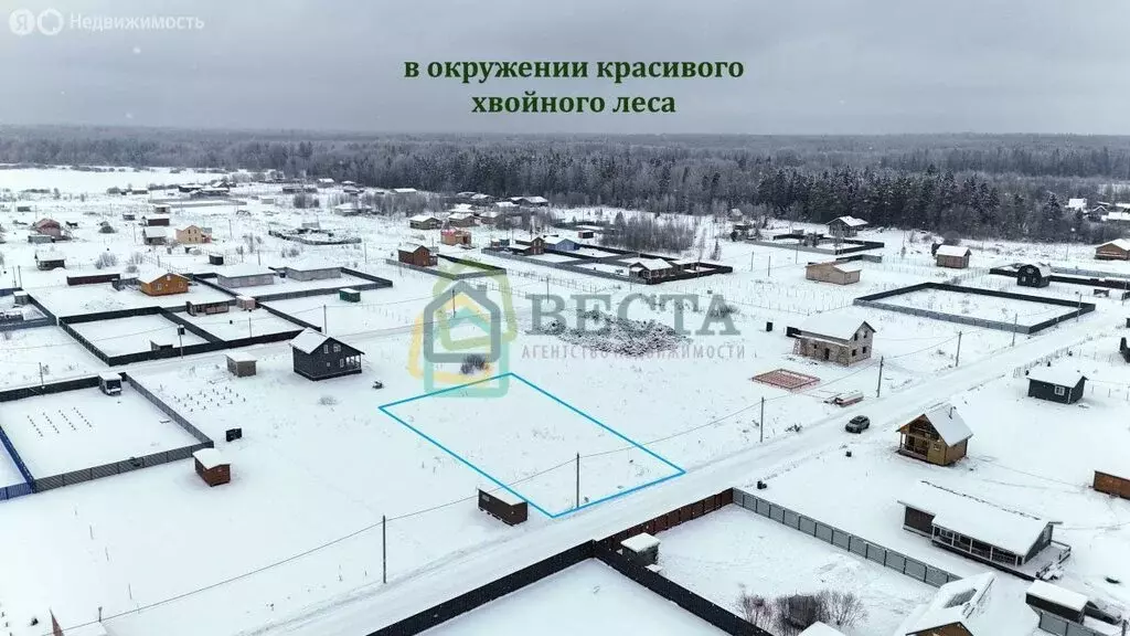 Участок в деревня Еглизи, Царскосельская улица, 106 (8.31 м) - Фото 2