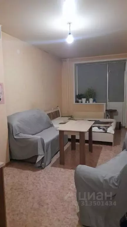 Студия Алтайский край, Бийск Социалистическая ул., 22 (28.2 м) - Фото 1