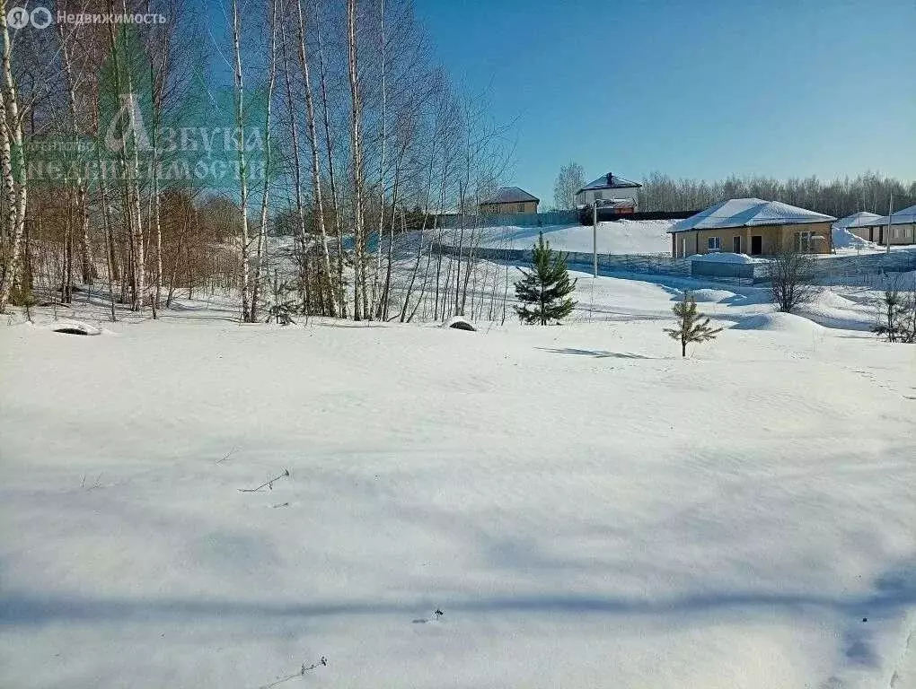 Участок в Смоленский муниципальный округ, деревня Ясенная (32 м) - Фото 1