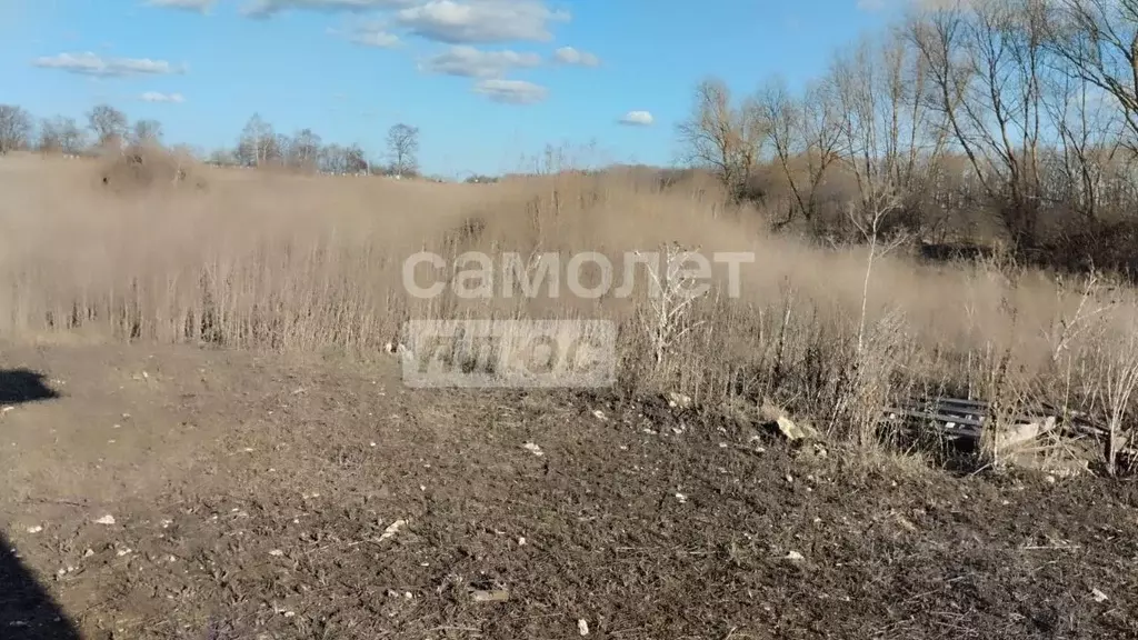 Участок в Липецкая область, Грязинский муниципальный округ, с. ... - Фото 1