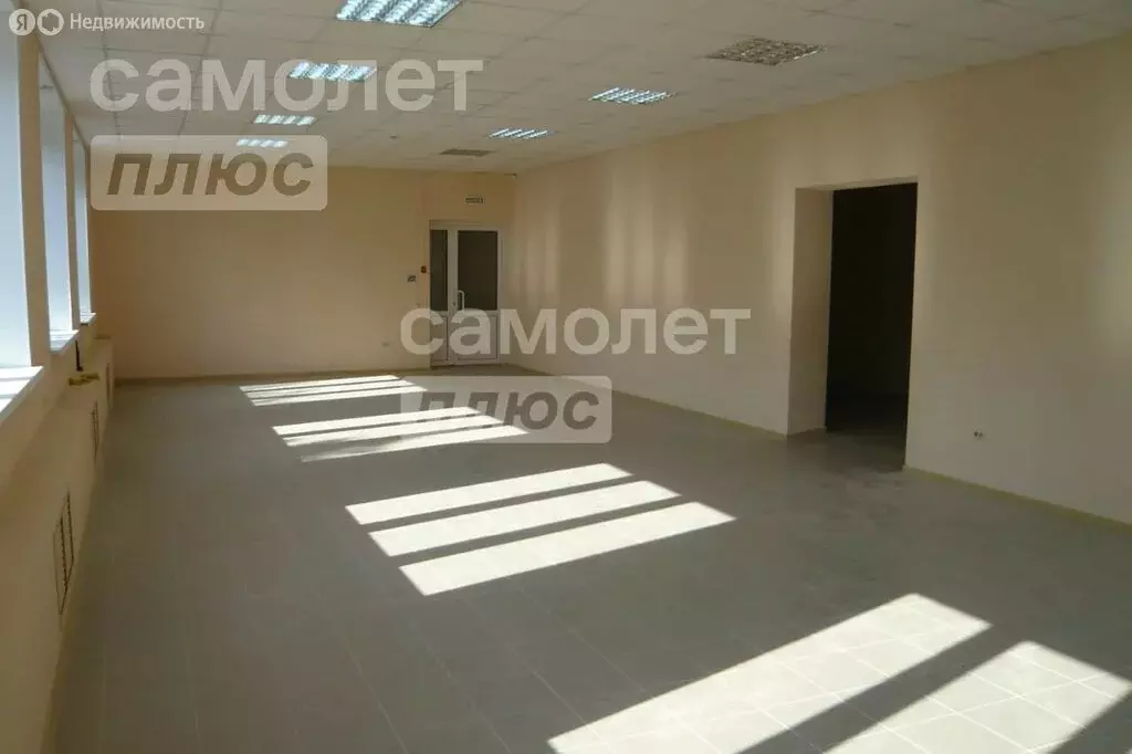 Помещение свободного назначения (203 м) - Фото 2