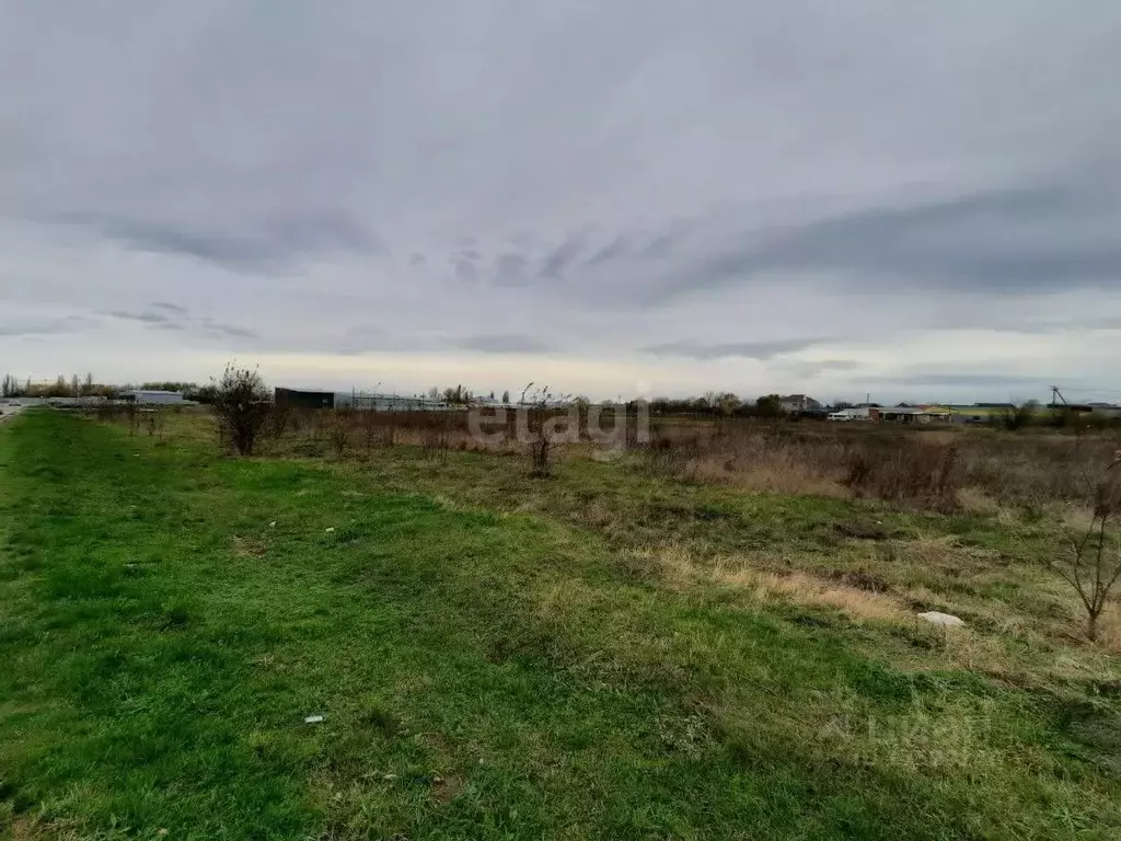 Участок в Краснодарский край, Красноармейский район, Полтавская ст-ца .,  Купить земельный участок в Красноармейском районе, ID объекта - 20006990681