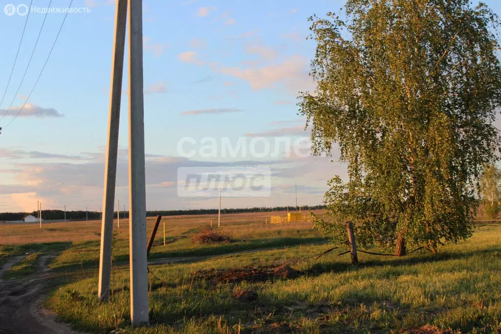 Участок в Курск, улица Репина, 20 (10 м) - Фото 0