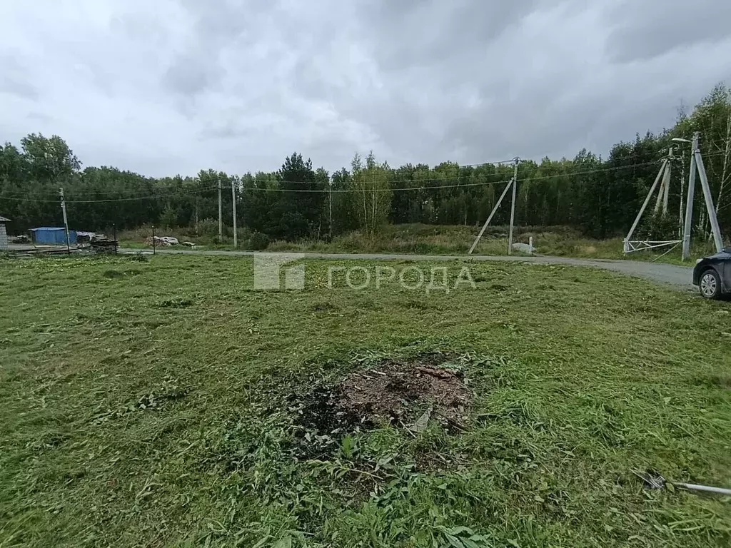 Участок в Новосибирская область, Новосибирский район, Станционный ... - Фото 1