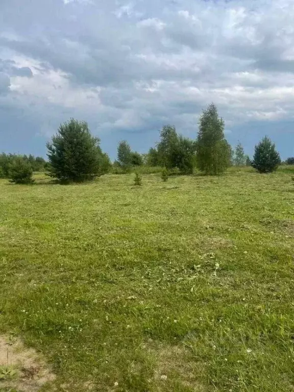 Участок в Московская область, Павлово-Посадский городской округ, д. ... - Фото 1