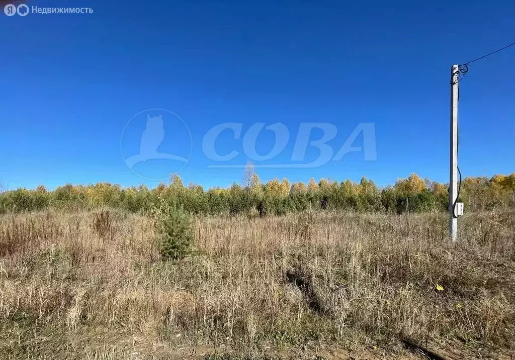 Участок в Тюменская область, Нижнетавдинский муниципальный округ, ... - Фото 1