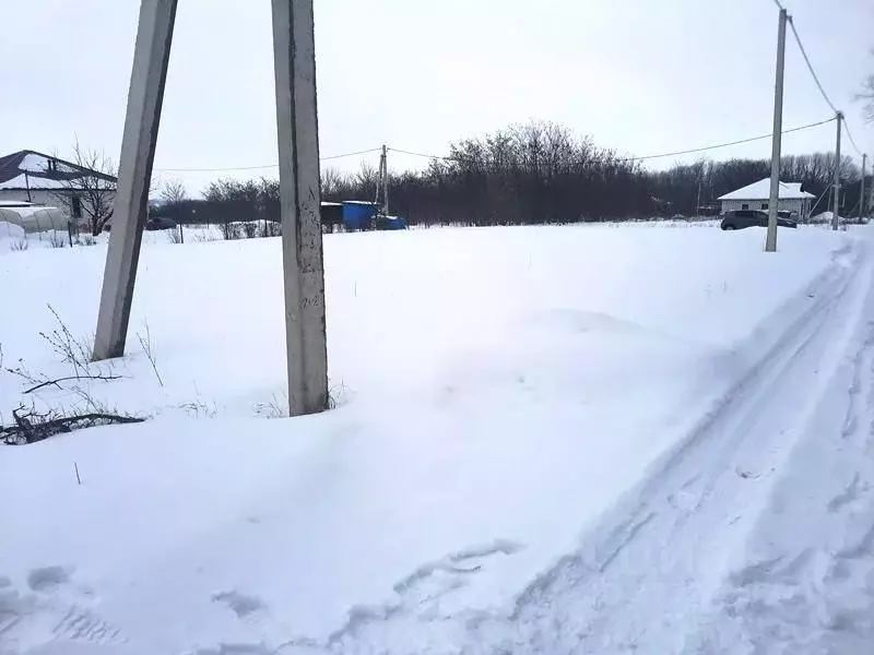 Участок в Белгородская область, Строитель Яковлевский городской округ, ... - Фото 1