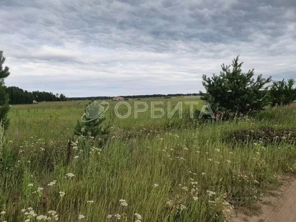 Участок в Тюменская область, Тюмень СОСН Березка-3 тер., ул. 15-я ... - Фото 1