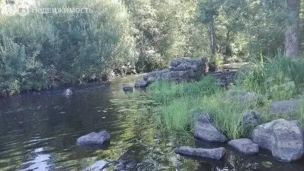Участок в Приозерский район, Мельниковское сельское поселение, посёлок ... - Фото 2