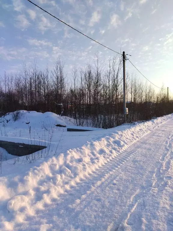 Участок в Новгородская область, Новгородский район, Ермолинское с/пос, ... - Фото 2