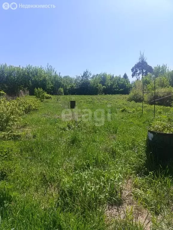 Участок в Бийск, Луговая улица (16 м) - Фото 0