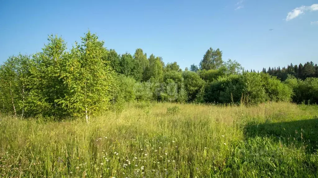 Участок в Томская область, Томский район, с. Корнилово, Красная горка ... - Фото 1