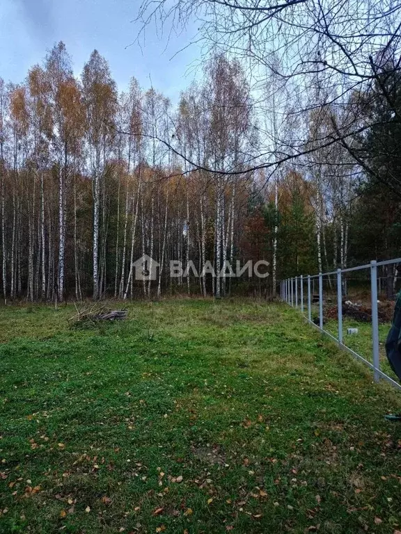 Участок в Владимирская область, Владимир Лунево мкр, ул. Луневская ... - Фото 1