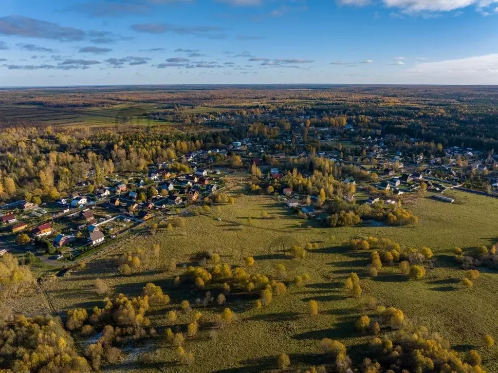 Участок в Ленинградская область, Всеволожский район, Куйвозовское ... - Фото 0