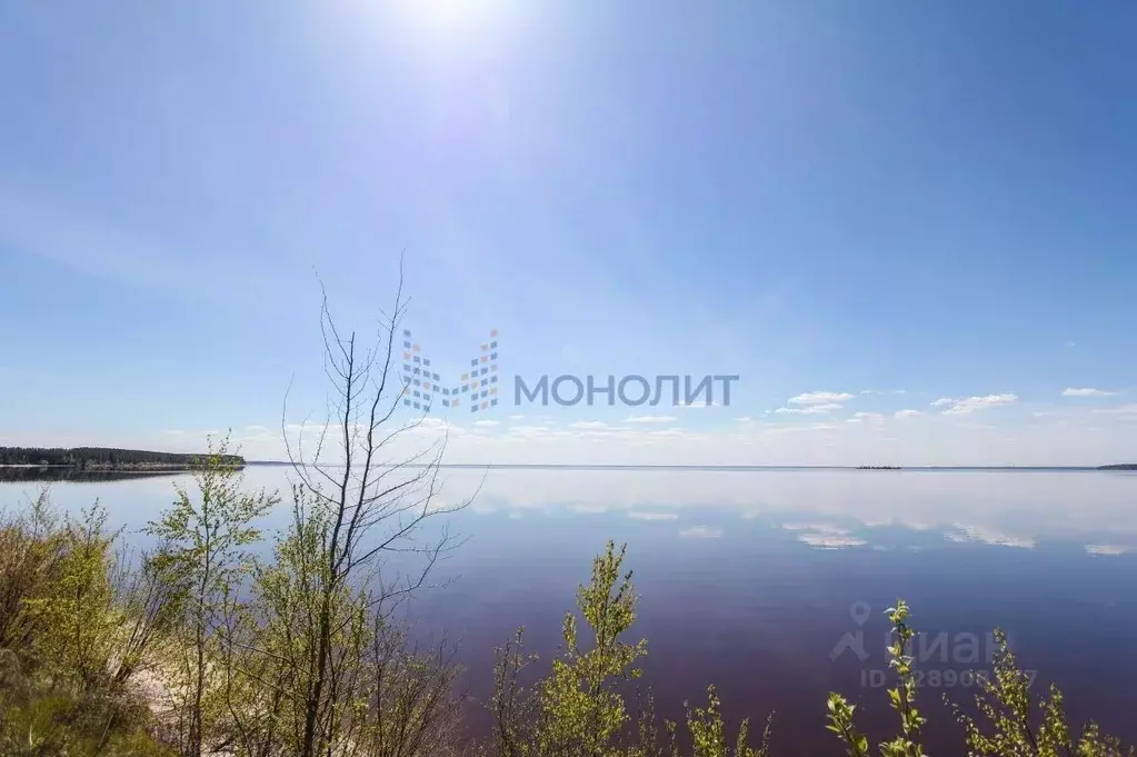 Участок в Нижегородская область, Сокольский муниципальный округ, с. ... - Фото 2