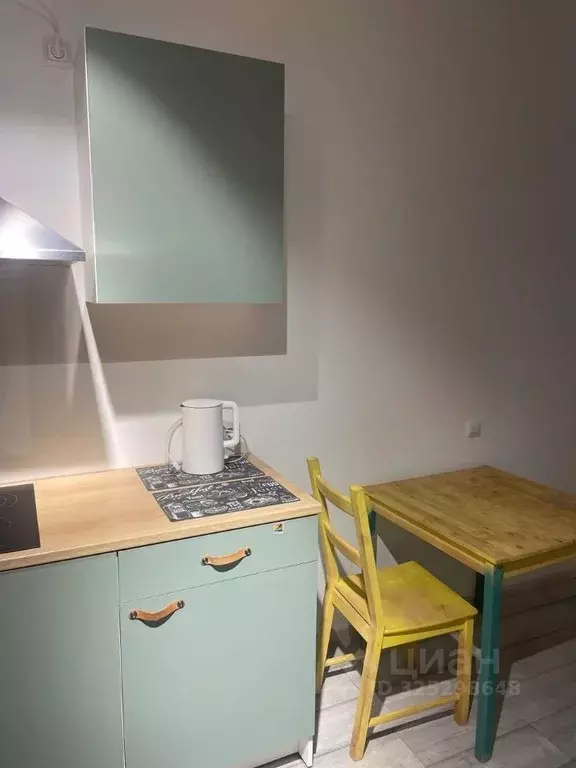 1-к кв. Пермский край, Пермь ул. Куйбышева, 109А (30.0 м) - Фото 2