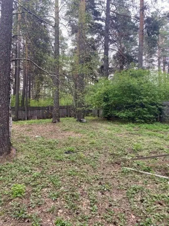 Участок в Иркутская область, Иркутский муниципальный округ, с. ... - Фото 0