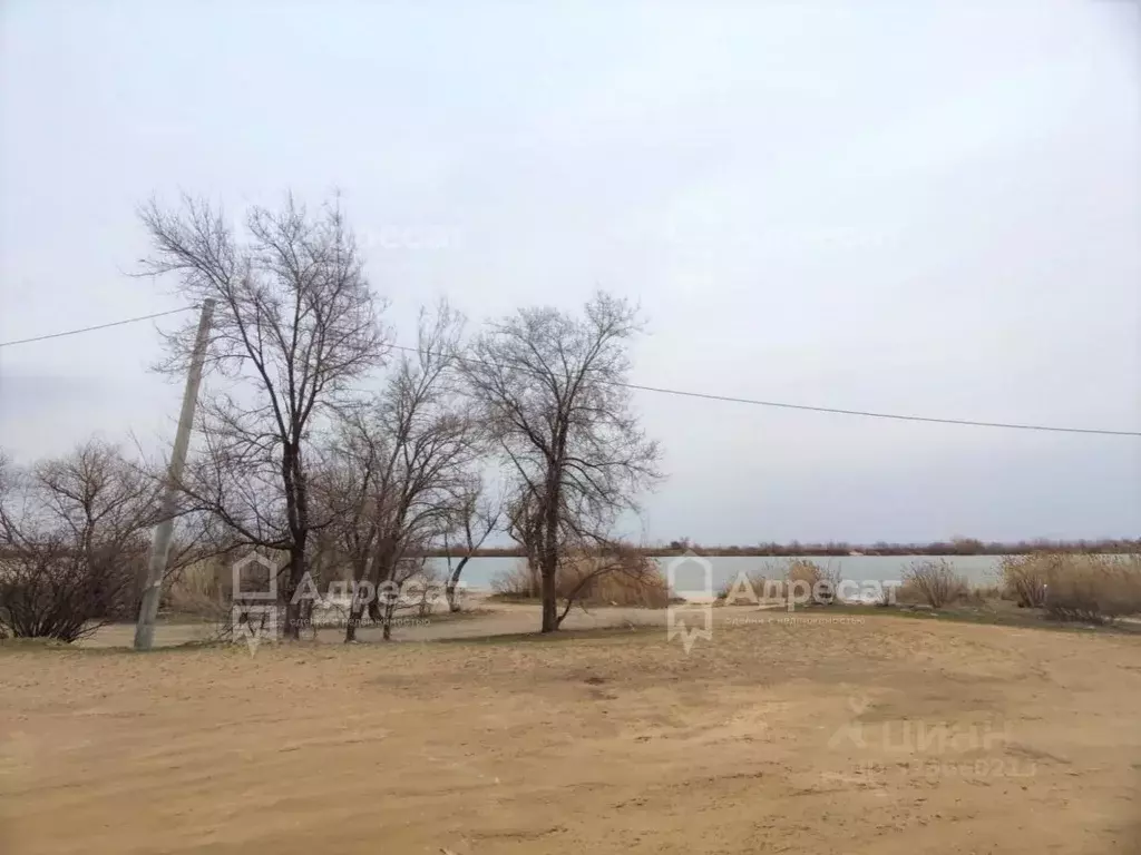 Участок в Волгоградская область, Волгоград Поселок 19 Партсъезда тер., ... - Фото 1