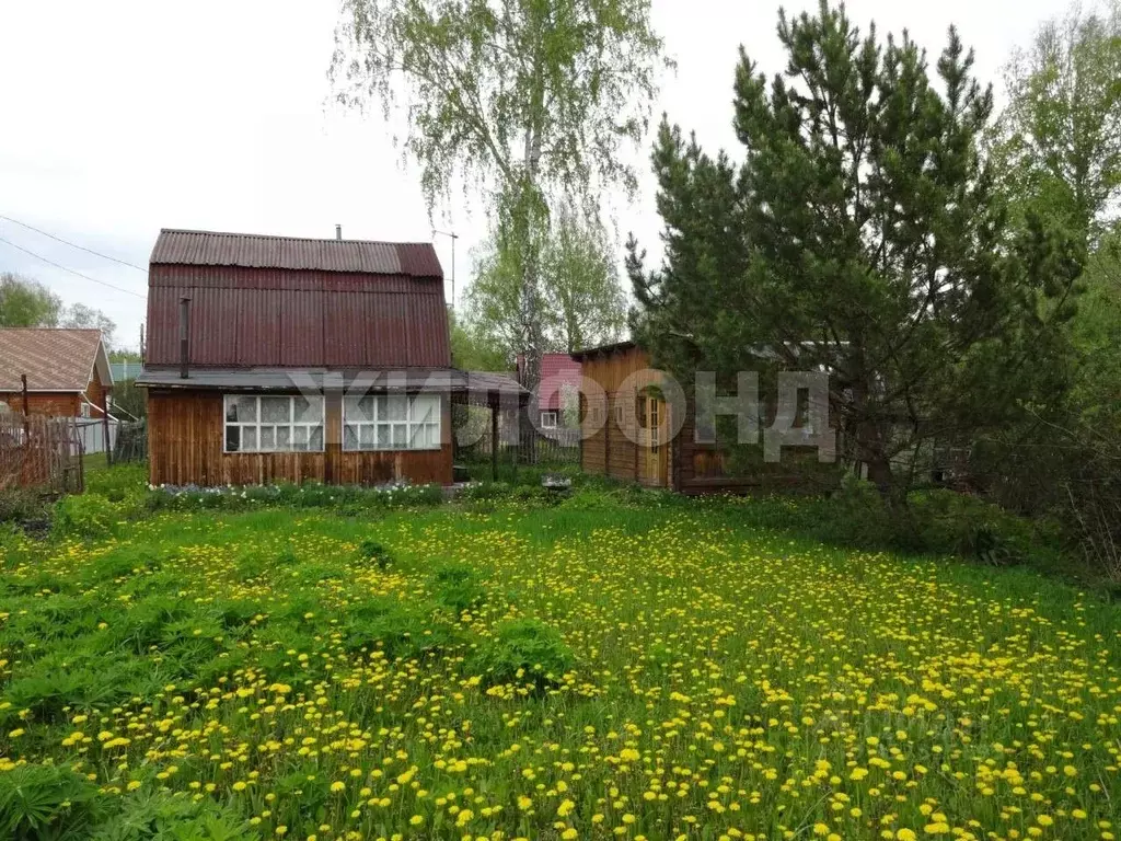 Участок в Новосибирская область, Тогучинский район, Кондитер СНТ  ... - Фото 0