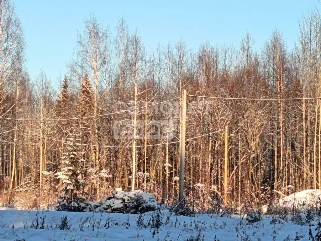 Участок в Коми, Сыктывкар ул. 10-я Линия (14.0 сот.) - Фото 1